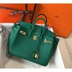 HERM Birkin 25cm Bag In Vert Vertigo Clemence Leather GHW - 图片 2