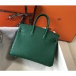 HERM Birkin 25cm Bag In Vert Vertigo Clemence Leather GHW - 图片 3