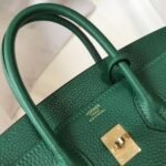 HERM Birkin 25cm Bag In Vert Vertigo Clemence Leather GHW - 图片 5