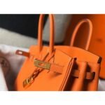 HERM Birkin 25cm Bag In Orange Clemence Leather GHW - 图片 6