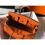 HERM Birkin 25cm Bag In Orange Clemence Leather GHW - 图片 7