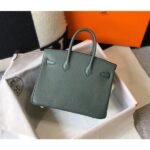 HERM Birkin 25cm Bag In Vert Amande Clemence Leather GHW - 图片 2