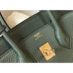 HERM Birkin 25cm Bag In Vert Amande Clemence Leather GHW - 图片 4