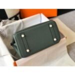 HERM Birkin 25cm Bag In Vert Amande Clemence Leather GHW - 图片 6