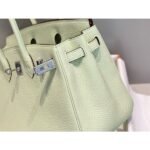 HERM Birkin 25cm Bag In Vert Fizz Clemence Leather PHW - 图片 8