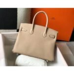 HERM Birkin 30cm Bag In Trench Clemence Leather GHW - 图片 2