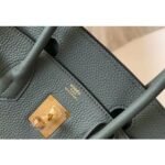 HERM Birkin 30cm Bag In Vert Amande Clemence Leather GHW - 图片 5