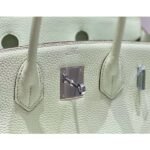 HERM Birkin 30cm Bag In Vert Fizz Clemence Leather PHW - 图片 5