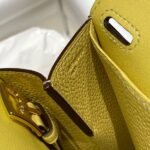 HERM Halzan 25 Bag in Jaune Poussin Clemence Leather - 图片 6
