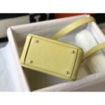HERM Lindy Mini Bag In Jaune Poussin Clemence Leather GHW - 图片 3
