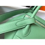 HERM Lindy Mini Bag In Vert Criquet Clemence Leather GHW - 图片 4