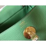 HERM Lindy Mini Bag In Vert Criquet Clemence Leather GHW - 图片 5