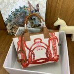 HERM Steeple 25 Bag in H Plume Canvas with Fantaisie d'Etriers - 图片 4