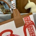 HERM Steeple 25 Bag in H Plume Canvas with Fantaisie d'Etriers - 图片 6