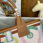 HERM Steeple 25 Bag in H Plume Canvas with Clic Clac Panoplie Equestre - 图片 7
