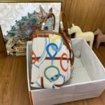 HERM Steeple 25 Bag in H Plume Canvas with Clic Clac Panoplie Equestre - 图片 10