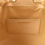 Chanel Small 25 Hobo Bag Beige Caviar Antique Gold Hardware - Image 9