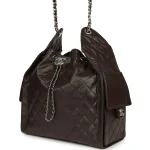 Chanel Medium 25 Hobo Bag Dark Brown Shiny Aged Calfskin Silver Hardware - Image 5