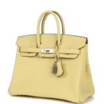 Hermes Birkin 25 Jaune Poussin Togo Palladium Hardware - Image 5