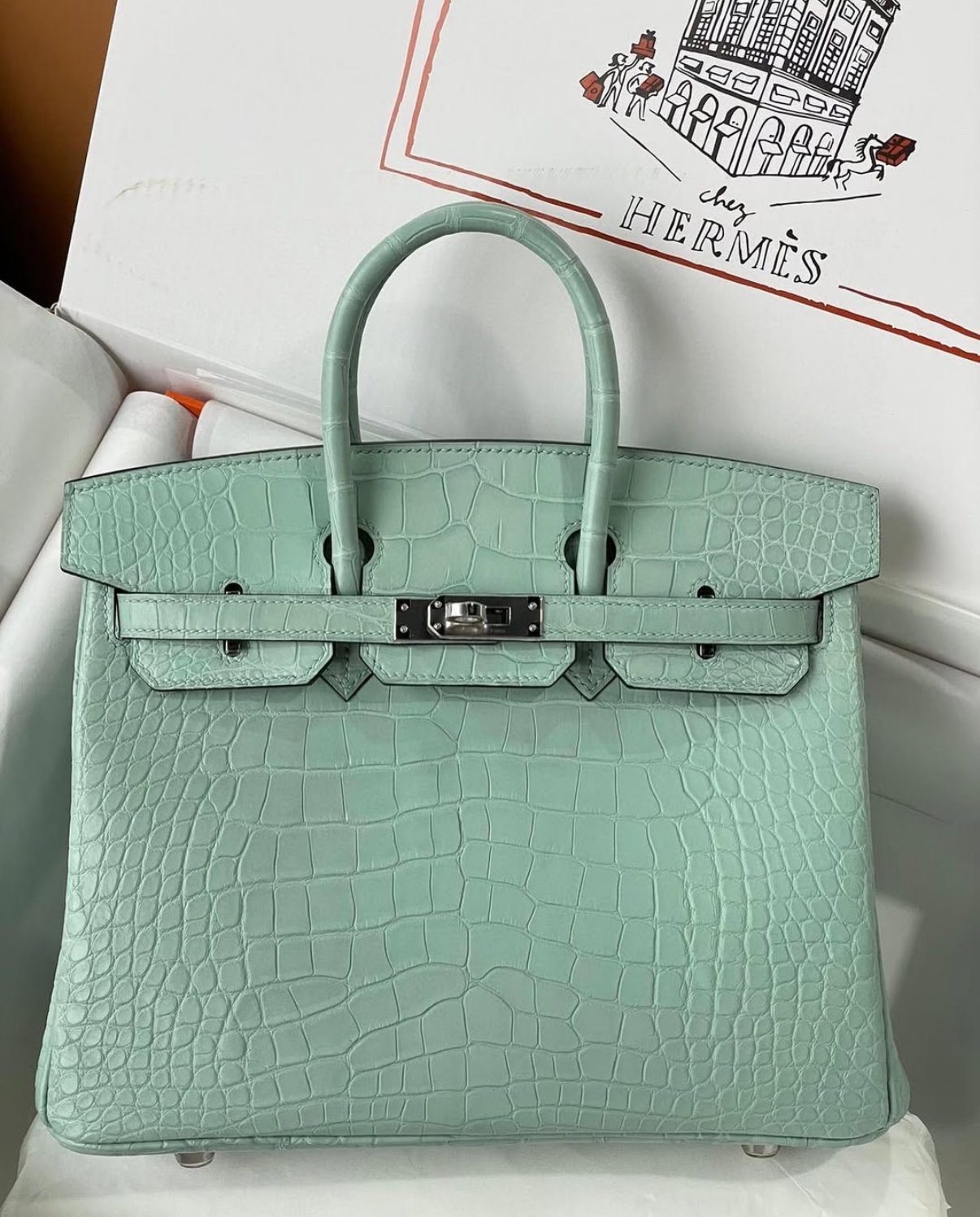 043F8A62-E361-0F9D-CE32-F879ED867861.jpg Hermès Birkin 25-30 mint green matte crocodile leather - Image 1