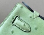 Hermes Kelly1 Mini 22 South African ostrich skin - Image 9