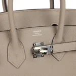 Hermes Birkin 25 Gris Tourterelle Togo Palladium Hardware - Image 7