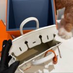 Herm&egrave;s Birkin 20 Silver Buckle Platinum Bag customization - Image 7