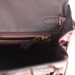 Hermes Birkin 25 Bordeaux Shiny Niloticus Crocodile Gold Hardware - Image 9