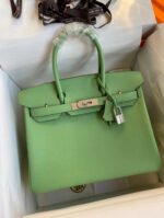 Herm&egrave;s Birkin 25-30cm Vert Avocat 🥑  EPSON custom