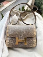 Herm&egrave;s Constance 24 Lizard Leather Custom - Image 4
