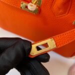 Hermes Birkin  25-30 TOGO - Image 5