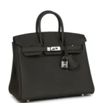 Hermes Birkin 25 Vert de Gris Togo Palladium Hardware - Image 2