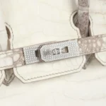 Hermes Birkin 25 Himalaya Niloticus Crocodile Diamond Encrusted Palladium Hardware - Image 7