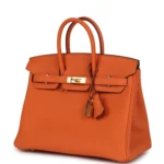 Hermes Birkin 25 Orange Togo Gold Hardware - Image 5
