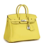 Hermes Birkin 25 Lime Swift Palladium Hardware - Image 2