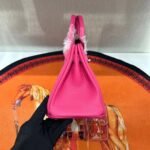 Hermes Birkin  25-30 TOGO - Image 3