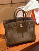 Herm&egrave;s BirKin 25-35 Elephant Grey Silver Buckle Custom - Image 5