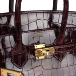 Hermes Birkin 25 Bordeaux Shiny Niloticus Crocodile Gold Hardware - Image 7