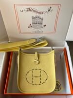 Hermes Evelyn 𝖬𝗂𝗇𝗂 17 Palladium Hardware -Top master