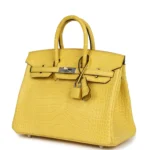 Hermes Birkin 25 Mimosa Matte Alligator Palladium Hardware - Image 5