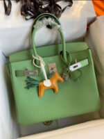 Herm&egrave;s Birkin 25-30cm Vert Avocat 🥑  EPSON custom - Image 9