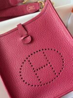 Hermes Evelyn 16-29 Custom-made - Image 4