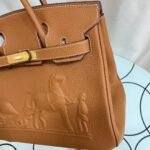 Hermes Birkin  25-30 TOGO customization - Image 5