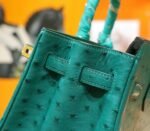 Herm&egrave;s Birkin platinum bag, emerald green color, South African ostrich leather, fully hand-sewn, gold buckle, 25cm long customization - Image 6