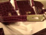 Herm&egrave;s Birkin 25-30 Bordeaux Red Alligator Leather Customization - Image 7