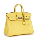 Hermes Birkin 25 Jaune Citron Ostrich Palladium Hardware - Image 2