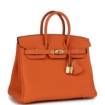 Hermes Birkin 25 Orange Togo Gold Hardware - Image 2