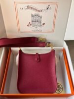 Hermes Evelyn 16-29 Custom-made - Image 2