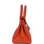 Hermes Birkin 30 Terre Battue Togo Gold Hardware - Image 3