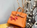 Hermes Birkin 25-35cm customization - Image 2